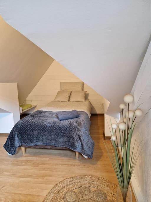 Le Petit Loft, Mulhouse Centre Apartamento Exterior foto