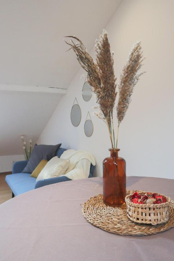 Le Petit Loft, Mulhouse Centre Apartamento Exterior foto