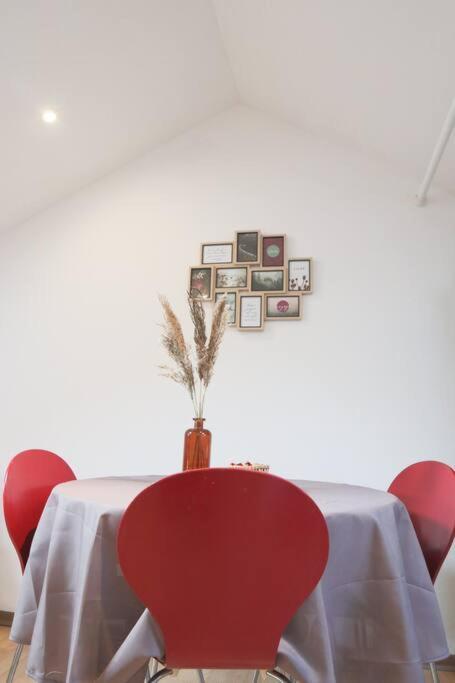 Le Petit Loft, Mulhouse Centre Apartamento Exterior foto