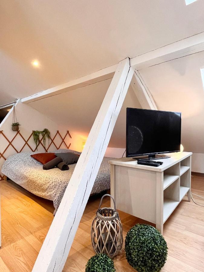 Le Petit Loft, Mulhouse Centre Apartamento Exterior foto